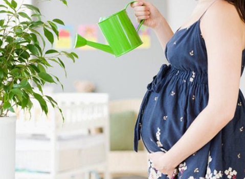 ���ݴ���